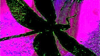 The curtain rises on steamy Scene 2 Part 2