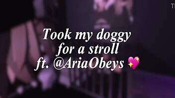 The lonely puppy finally finds a loving new owner and home