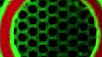 Horny BBWs Sophie Dee Dive into Wet Big Pussy Licking Action