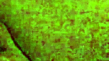 i wok up horny in the midle of the nite, craving deepthroat and swallow