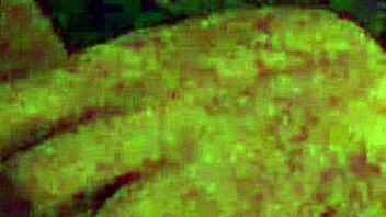 i wok up horny in the midle of the nite, craving deepthroat and swallow