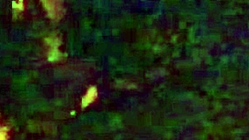 i wok up horny in the midle of the nite, craving deepthroat and swallow