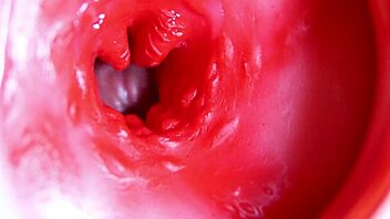 big red cock slides into a wet juicy hole