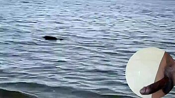 She Screams Fill Me Up With Your Huge Cock! Sweetfuk18 Vs Hotsexydiva In Hardcore Creampie Action