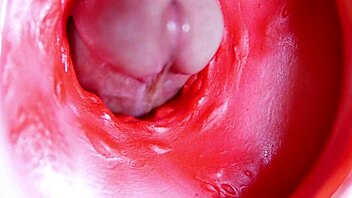 big red cock slides into a wet juicy hole