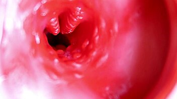 big red cock slides into a wet juicy hole