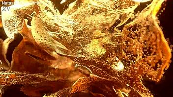 flexy teen lenis diamond takes hardcore bbc anal 3 on 1