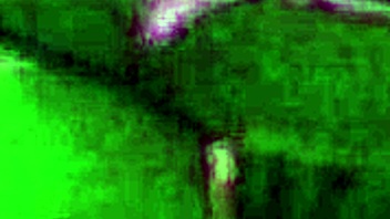 homemade sex with small tits milf