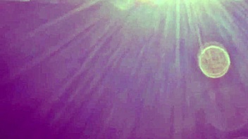 Hey, married Japanese woman, early morning car sex on holiday?