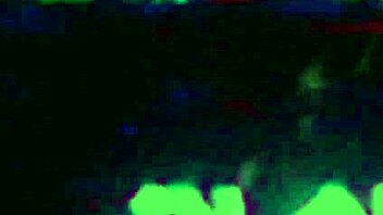 They Go Both Ways Acoustic Slowed