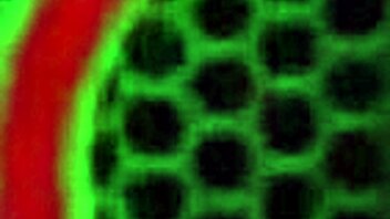 Lesbian Kisses and Sex in Jacuzzi