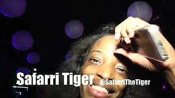 buggati bubblez turnt up with safari tiger bbc jimmy d in da club 😎