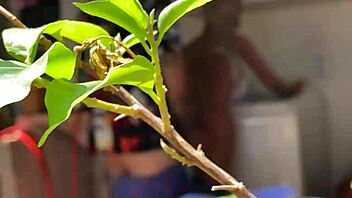 Mother-in-law shares her sex toy after a long time.