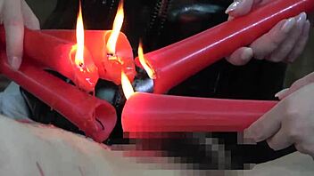 Japanese mistresses train masochist with nipple and cbt play