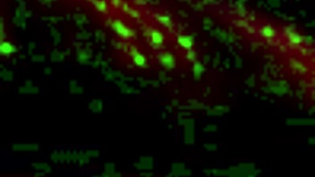 Kanedamaaka Ruins My Tights!