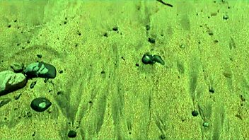 Beautiful Italian Silvia Soprano dominated rough on Norwegian beach