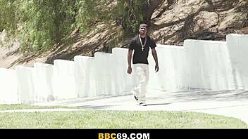 Help me find my lost pussy!