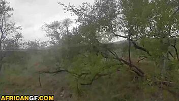 Hot Ebony Girlfriend Sucks Fat White Cock Roughly In Public Outdoor Reality