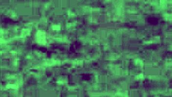 Free Sadomasochism Videos