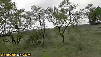 Hot Ebony Girlfriend Sucks Fat White Cock Roughly In Public Outdoor Reality