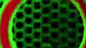 Bubble Ass Ashley Fires In Stockings