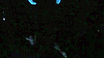 scarlett johnson in blacklight sex pov