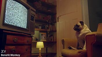 Perfect blonde Candee Licious shows off her big ass and natural tits in lingerie.