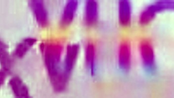 Gabily Castro gets assfucked by five guys in group!