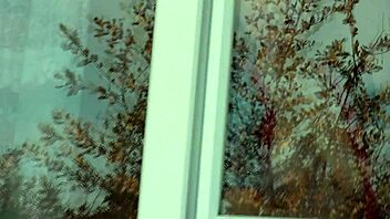 Public Nudity: Naked Milf in Stockings Washes Window for Taxi Driver.