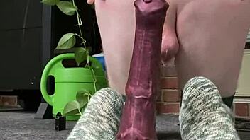 Bouncing On Big Horse Dildo And Gaping