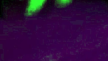 casada põe na cabeça da puta