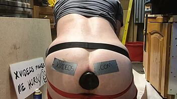 Toy Verification Process