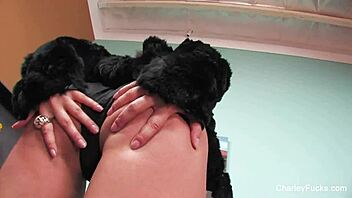 charley chase solo fun