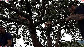 Public encounter with blonde and brunette on tree.