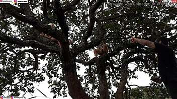 Public encounter with blonde and brunette on tree.