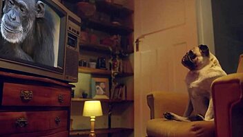 Blonde Amy Douxxx says, Let's do mutual masturbation and massage.