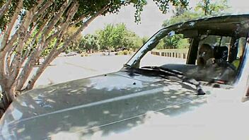 Lesbian Girlfriends Share Intimate Moments