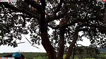 Public encounter with blonde and brunette on tree.