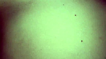 Hey, check out this cute girl fingering her pussy until she squirts everywhere