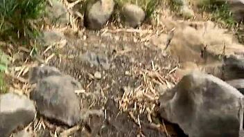 Helping Stranger Leads To Outdoor Sex In Forest With Brazilian Ebony Almost Caught