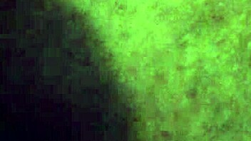 Ebony Ass Video Clip