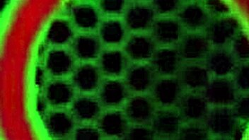 Blonde Mary Seems Innocent But She Eats Cum After Rough Anal With Milf Slut.