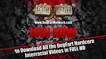 Big ass Candice Dare interacts with big black cocks