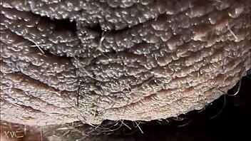Ablatisque Testiculis: Balls In Latin Explained