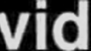 Elisa Santos and Vicky Menage take intense anal from Dodo Pitbull