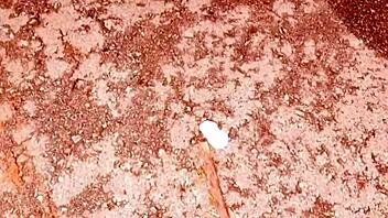 tattooed cutie with glasses swallows my cum after quickie sex and i feel so satisfied