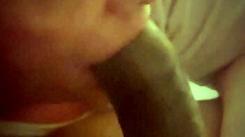 Unleash That Sloppy Ball Licking Pleasure!