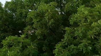 oh man, this lesbian couple gets like, advice and way more from the counselor - itspov, ya know?