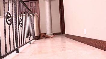 do you think love hurts like this anal pounding with brooklyn lee?