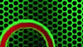 gorgeous milf casey cumz teases miles long's cock with big tits and pussy lips until facial explosion